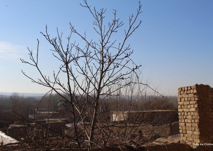 Paesaggio in Afghanistan con albero in primo piano e muretto in pietra sulla destra della foto