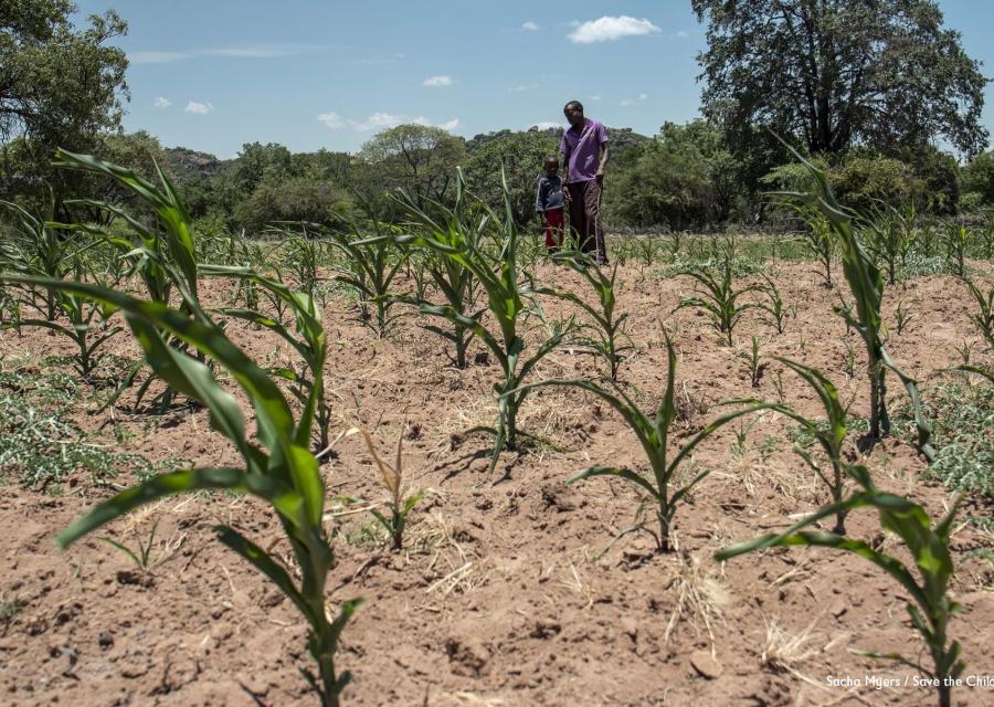 campo agricolo con piante in primo piano e sullo sfondo un uomo adulto e un bambino stanno in piedi vicini e guardano il campo