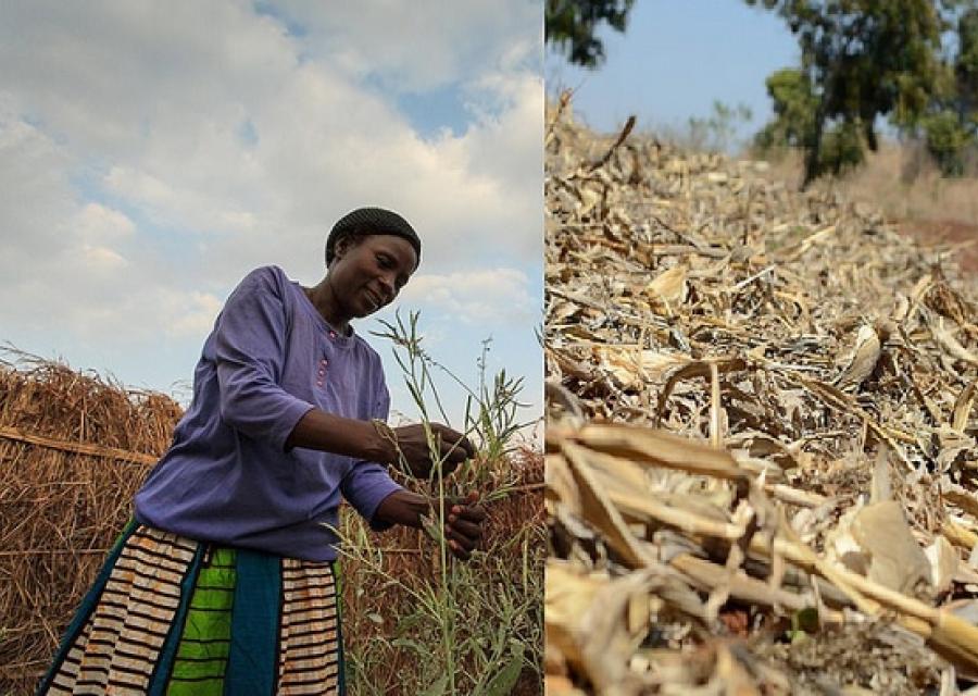 Il bilancio 2014: cosa abbiamo fatto per contrastare la povertà e per la sicurezza alimentare