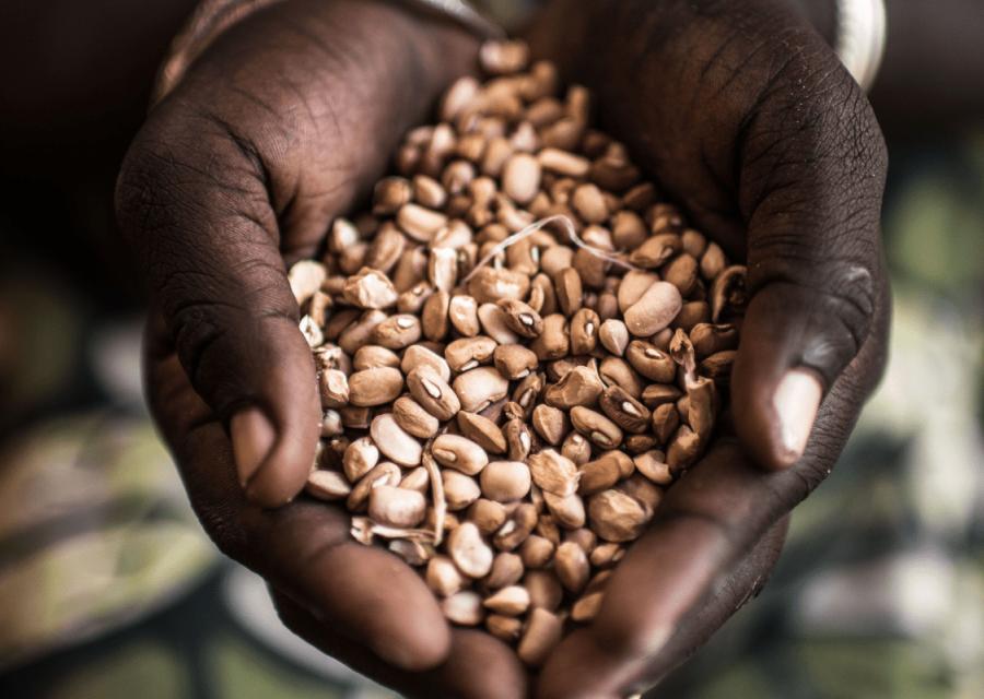 Mani che reggono un mucchio di cereali