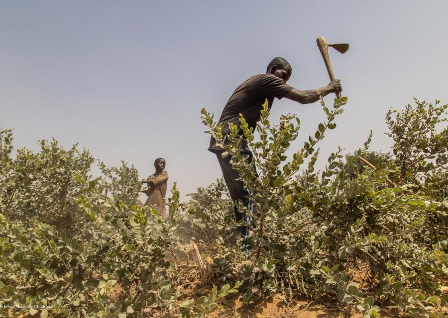 Agricoltore in Nigeria nel campo che coltiva con una falce