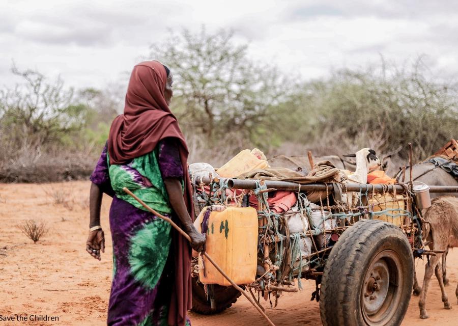 donna con vestito colorato e velo sul capo segue un carretto trainato da muli in una zona desertica