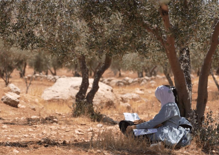 bambine che studiano sotto un albero 