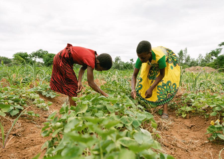 Due ragazze che gestiscono il loro giardino con semi per l'alimentazione.