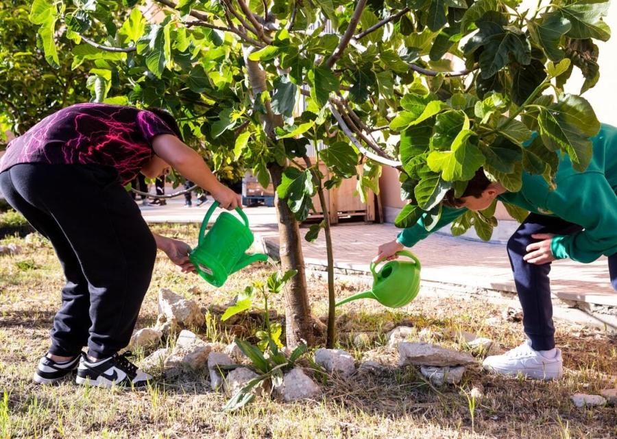 bambini innaffiano insieme un albero