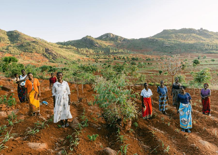 Donne in un campo di agricoltura sostenibile in Malawi