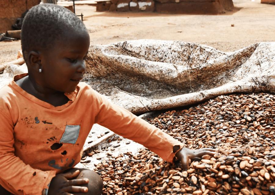 Bambina seduta vicino a semi di cacao